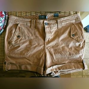 Torrid Shorts